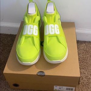 Ugg sneakers